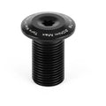 Ethic IHC Fork Top Torx Screw